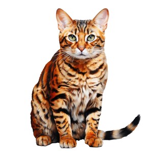 Bengal cat clipart – Watercolor Bengal cat png - POD allowed – Bengal sublimation – Bengal cat wall art – Watercolor cat – Commercial use image 10