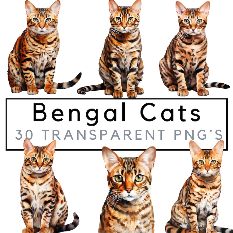 Bengal cat clipart – Watercolor Bengal cat png - POD allowed – Bengal sublimation – Bengal cat wall art – Watercolor cat – Commercial use image 1