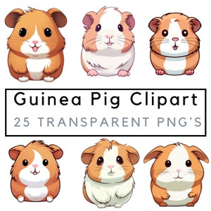 Guinea pig png, guinea pig clipart, guinea pig art, cute guinea pig png bundle, chunky guinea pigs, commercial use, POD allowed, 25 images