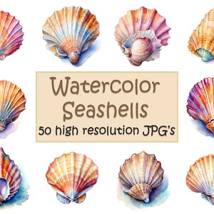 May include: A collection of 50 watercolour seashells in various shades of pink, orange, yellow, blue, and purple. The seashells are painted in a realistic style and have a glossy finish. "Watercolor Seashells 50 high resolution JPG's" is written in brown text on a beige background.