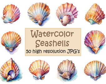 Sea Shell Clipart, 50 hoge kwaliteit JPG's, aquarel zeeschelp, zeeschelp clipart, schelpen, zee clipart, digitale papier caft