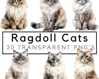Watercolor Ragdoll Cats Clipart – Ragdoll Kitten clip art – POD allowed - Cat png bundle – transparent background – commercial use