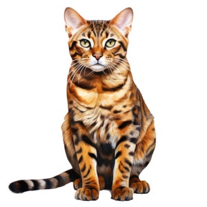 Bengal cat clipart – Watercolor Bengal cat png - POD allowed – Bengal sublimation – Bengal cat wall art – Watercolor cat – Commercial use image 7