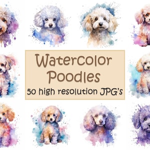 Poodles aquarela, 50 JPG's de alta resolução, clipart de poodle, poodles, clipart, poodles fofos, arte de estimação, impressão de pôster, clipart, JPG