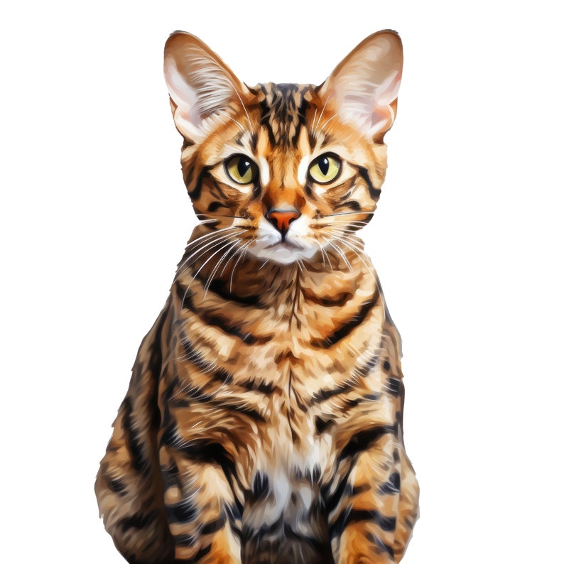 Bengal cat clipart – Watercolor Bengal cat png - POD allowed – Bengal sublimation – Bengal cat wall art – Watercolor cat – Commercial use image 8