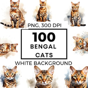 Pacote png de gato de Bengala aquarela – clipart de gato de Bengala - POD permitido – sublimação de Bengala – arte de parede de Bengala – gato aquarela – uso comercial