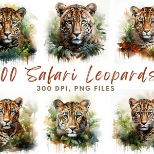 Desenhos de selva de leopardo clipart | 100 imagens PNG | impressão em aquarela | clipart de animais de safári | presente de pessoa leopardo | 100 designs PNG