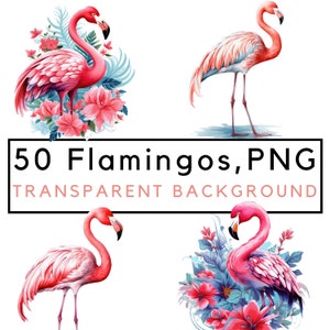 Flamingo png, flamingo clipart, watercolor flamingos, flamingo png bundle, tropical bird artwork, commercial use, POD allowed, 50 images