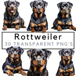 rottweiler clipart – Rottweiler-kunst– rottweiler png – Junk Journal – Hondenrassen – POD toegestaan – Rottweiler-sublimatie – Scapbooking
