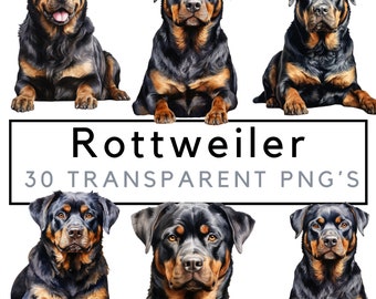 May include: A set of six digital illustrations of Rottweilers, each with a different pose. The Rottweilers are depicted in a realistic style with black and tan fur.