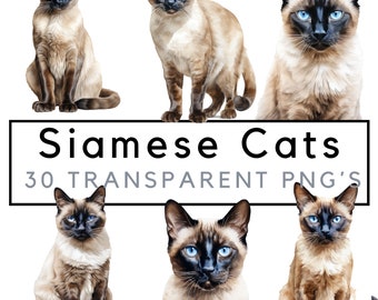 Siamese clipart – Siamese cat png - POD allowed – Siamese sublimation – Siamese wall art – Watercolor cat – Commercial use