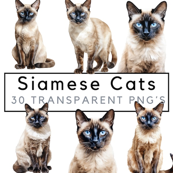 Siamese clipart – Siamese cat png - POD allowed – Siamese sublimation – Siamese wall art – Watercolor cat – Commercial use