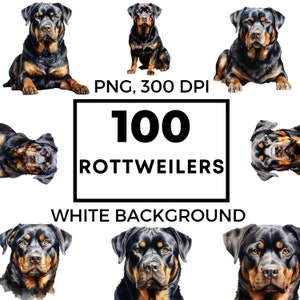 Rottweiler-illustraties – Rottweiler-portret– Rottweiler png – Junk Journal – Hondenrassen – POD toegestaan – Rottweiler-sublimatie – Scapbooking