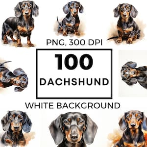 Dackel Clipart – Dackel Portrait – Dackel png - Junk Journals – Dackel – POD erlaubt – Dackel Sublimation - Scapbooking