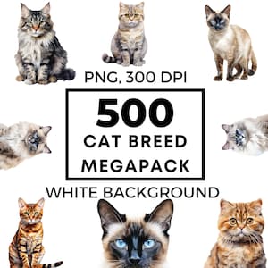 Clipart chat ragdol - png British shorthair - vecteur de chat du Bengale - clipart chaton - Maine coon - clipart chat siamois - usage commercial