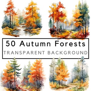 Paisagem de outono png, clipart de floresta, clipart de floresta de outono, arte de floresta de outono em aquarela, uso comercial, POD permitido, 50 desenhos