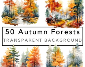 Autumn landscape png, Forest clipart, fall forest clip art, watercolor autumn forest art, commercial use, POD allowed, 50 drawings