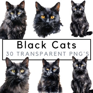 Aquarell schwarze Katzen Clipart – Kätzchen Clipart - POD erlaubt – schwarze Kätzchen – Langhaarige Katze – Bombay Katze – Kommerzielle Nutzung erlaubt