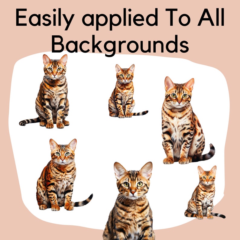 May include: Six brown tabby cats with black stripes are sitting on a white background. The cats are all looking at the camera. The text "Easily applied To All Backgrounds" is at the top of the image.