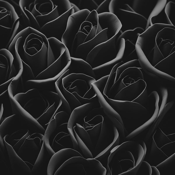 Black roses black rose wallpaper black rose digital art black rose background black rose wall art black rose digital art black rose