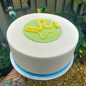 May include: A white cake with a blue ribbon around the bottom. The cake is decorated with a yellow snake on a green leaf.