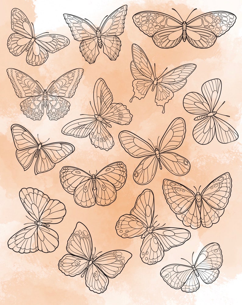 Butterfly Procreate Stamp Set 1 25 Timbres de brosse à insectes papillon Illustrations Dessins de tatouage Procréer un pack de pinceaux numériques image 2