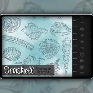 Puede incluir: Una ilustración digital de 17 conchas diferentes sobre un fondo azul. El texto "Seashell Procreate Stamps" está en la parte inferior de la imagen.