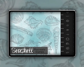 Seashell Procreate Stamp Set 1 - 25 Shell Ocean Sea Nature Brush Stamps | Illustrations | Tattoo Designs | Procreate Digital Brush Pack