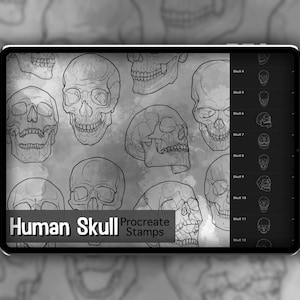 Human Skull Procreate Stamp Set 1 20 Skull and Jaw Bone Brush Stamps Illustrations Tattoo Designs Procreate Digital Brush Pack image 1