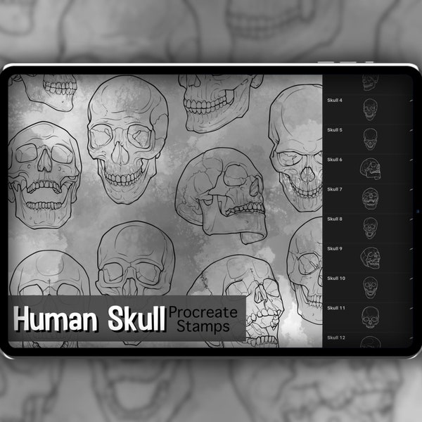 Jeu d'estampes Procreate crâne humain 1 - 20 estampes pour pinceau tête de mort et os de la mâchoire | Illustrations | Dessins de tatouage | Pack de pinceaux numériques Procreate