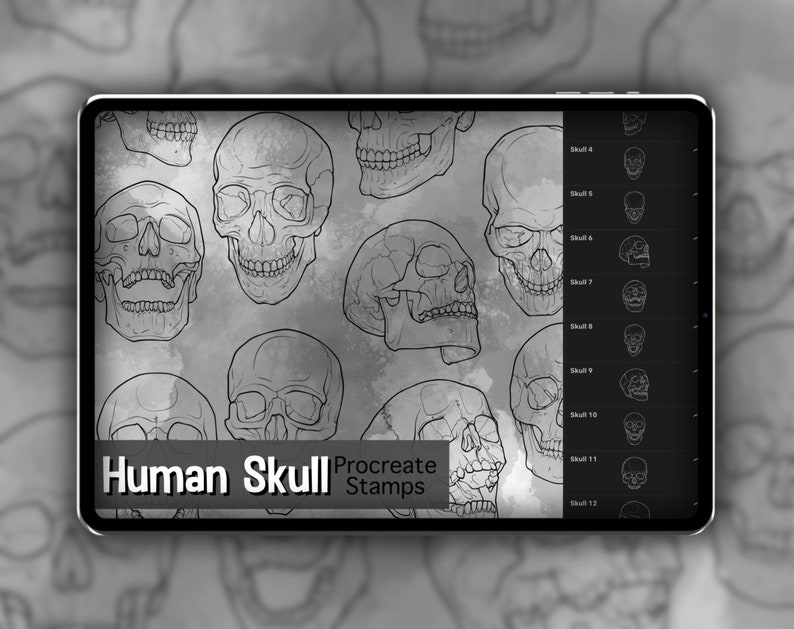 Human Skull Procreate Stamp Set 1 20 Skull and Jaw Bone Brush Stamps Illustrations Tattoo Designs Procreate Digital Brush Pack image 1