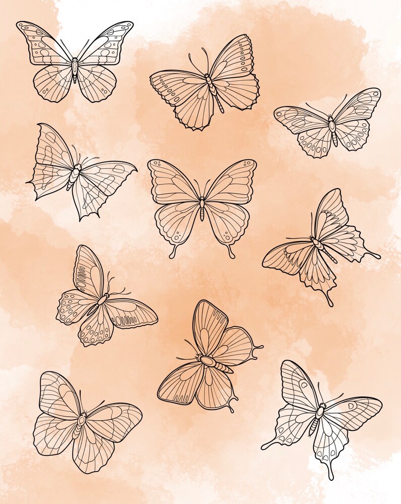 Butterfly Procreate Stamp Set 1 25 Timbres de brosse à insectes papillon Illustrations Dessins de tatouage Procréer un pack de pinceaux numériques image 3