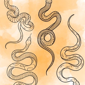 Jeu d'estampes Snake Procreate 1 25 tampons pinceaux Serpent Serpent Illustrations Dessins de tatouage Pack de pinceaux numériques Procreate image 9