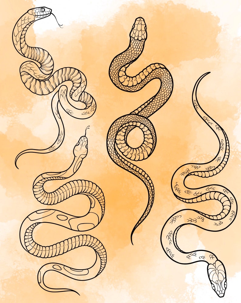 Jeu d'estampes Snake Procreate 1 25 tampons pinceaux Serpent Serpent Illustrations Dessins de tatouage Pack de pinceaux numériques Procreate image 9