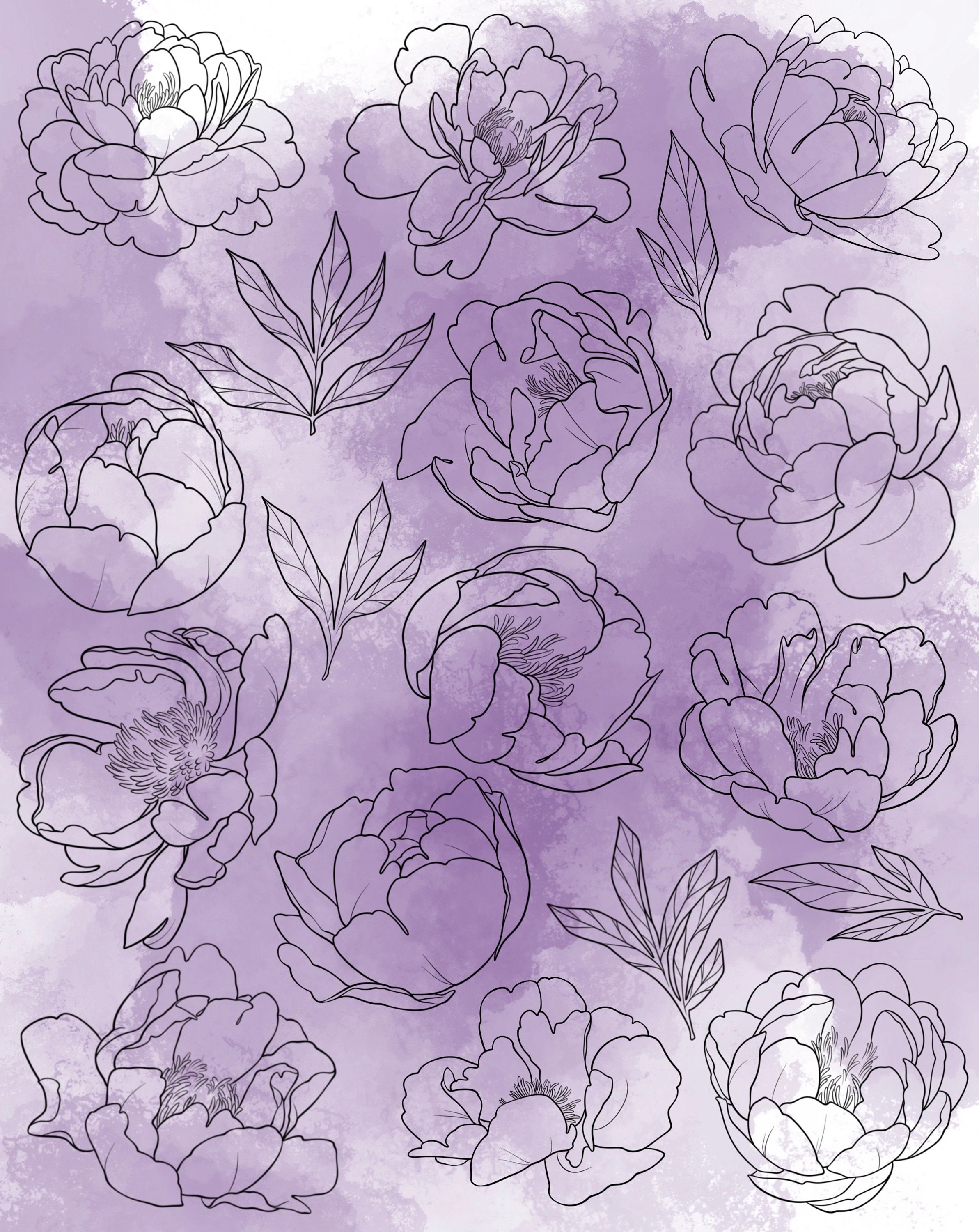 Peony Procreate Stamp Set 1 35 Peonies & Leaves, Flower Brush Stamps ...