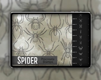 Set di timbri Spider Procreate 1 - 25 Timbri a pennello per insetti ragno aracnide / Illustrazioni / Disegni di tatuaggi / Pacchetto pennelli digitali Procreate