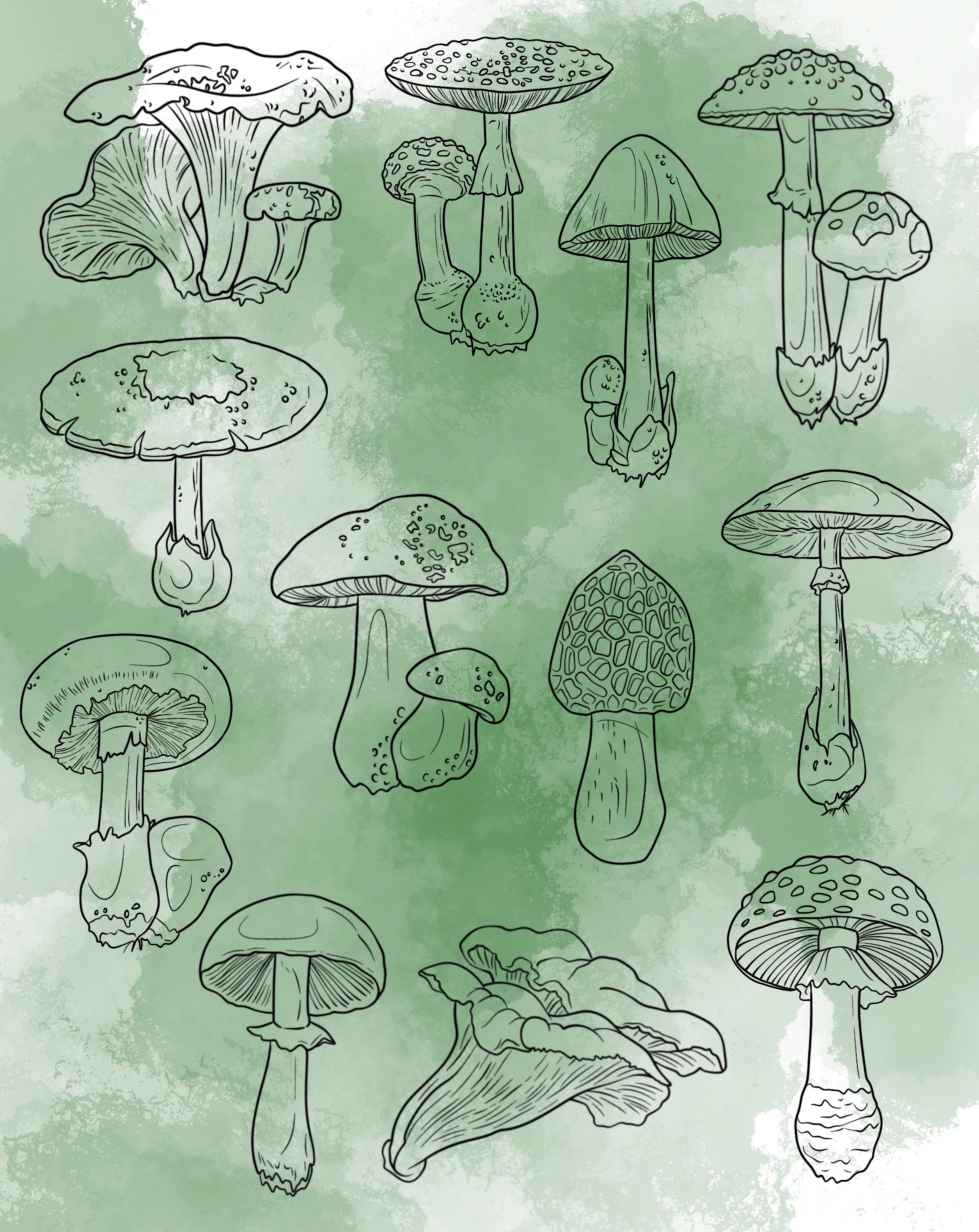 Mushroom Procreate Stamp Set 1 25 Fungi Brush Stamps - Etsy