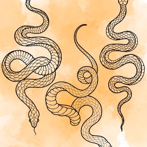 Jeu d'estampes Snake Procreate 1 25 tampons pinceaux Serpent Serpent Illustrations Dessins de tatouage Pack de pinceaux numériques Procreate image 2
