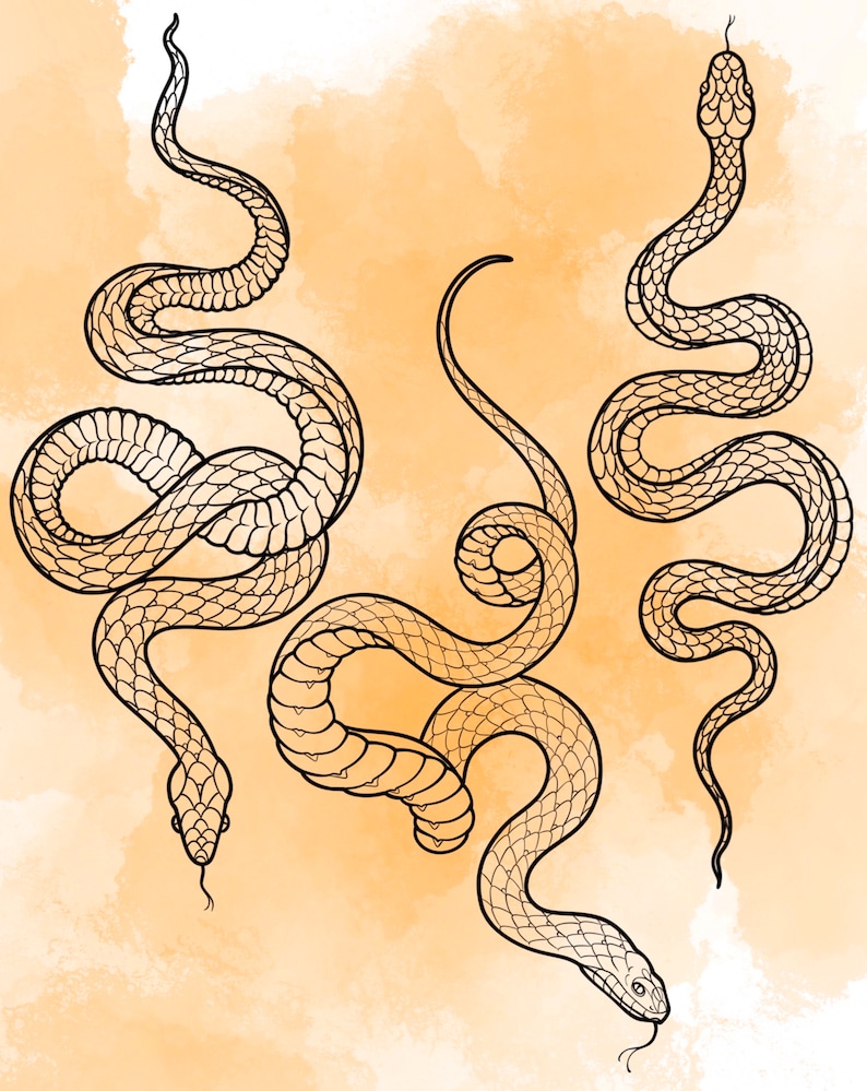 Jeu d'estampes Snake Procreate 1 25 tampons pinceaux Serpent Serpent Illustrations Dessins de tatouage Pack de pinceaux numériques Procreate image 2