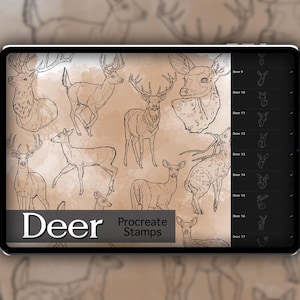 May include: A set of 17 digital stamps featuring line drawings of deer in various poses. The stamps are designed for use in the Procreate app.