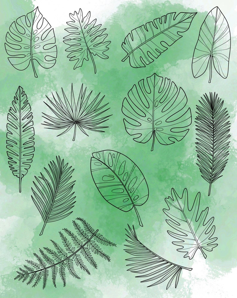 Tropical Leaf Procreate Stamp Set 1 - 25 Tropical Leaves, Ferns Brush ...