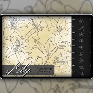 Lily Procreate Stamp Set 1 - 25 Lily Flower Floral Brush Stamps | Illustrations | Tattoo Designs | Procreate Digital Brush Pack