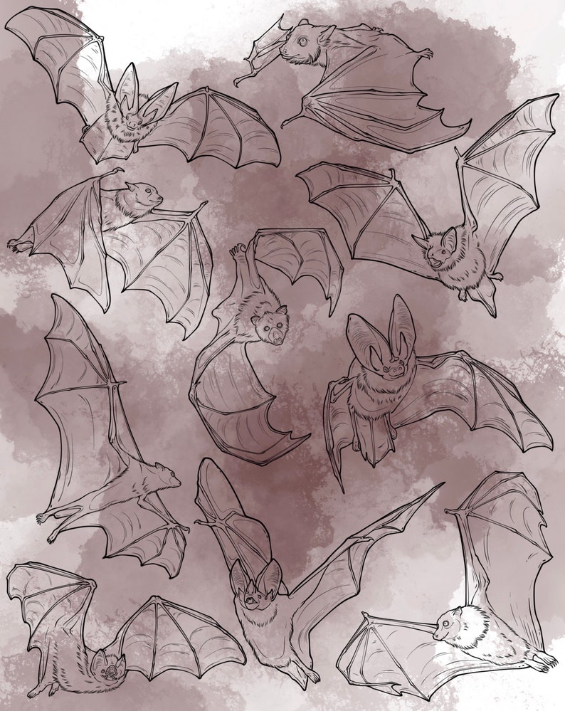 Bat Procreate stämpelset 1 - 20 penselstämplar med fladdermusvingar och däggdjur | Illustrationer | Tatueringsdesigner | Digitalt penselpaket | Halloween bild 2