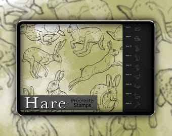 Pennelli a timbro di lepre per Procreate – Coniglio, mammifero, fauna selvatica, natura, illustrazioni di animali, disegni (download digitale)