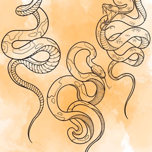 Jeu d'estampes Snake Procreate 1 25 tampons pinceaux Serpent Serpent Illustrations Dessins de tatouage Pack de pinceaux numériques Procreate image 7