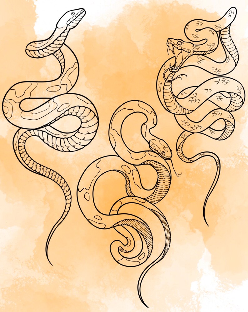 Jeu d'estampes Snake Procreate 1 25 tampons pinceaux Serpent Serpent Illustrations Dessins de tatouage Pack de pinceaux numériques Procreate image 7