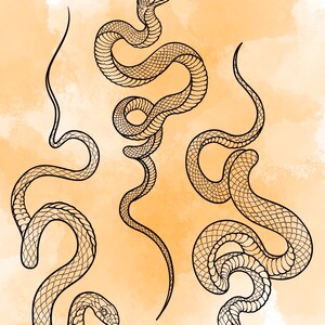 Jeu d'estampes Snake Procreate 1 25 tampons pinceaux Serpent Serpent Illustrations Dessins de tatouage Pack de pinceaux numériques Procreate image 5