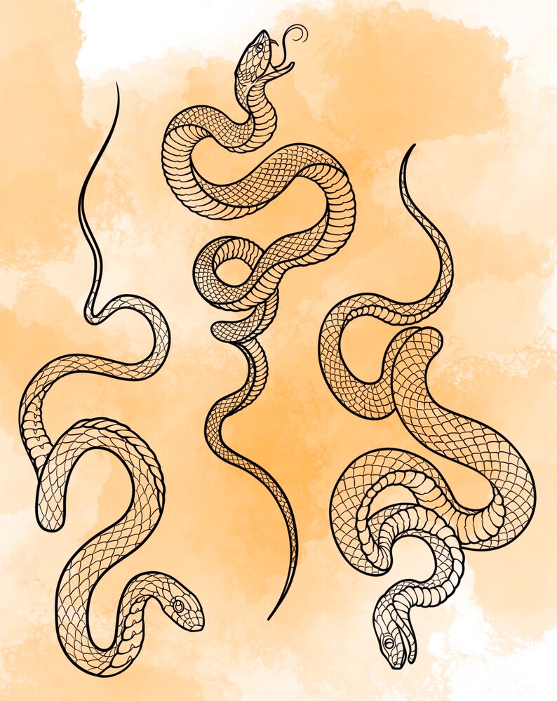 Jeu d'estampes Snake Procreate 1 25 tampons pinceaux Serpent Serpent Illustrations Dessins de tatouage Pack de pinceaux numériques Procreate image 5