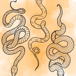 Jeu d'estampes Snake Procreate 1 25 tampons pinceaux Serpent Serpent Illustrations Dessins de tatouage Pack de pinceaux numériques Procreate image 4