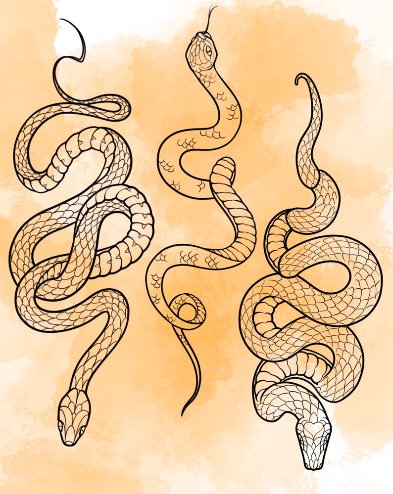 Jeu d'estampes Snake Procreate 1 25 tampons pinceaux Serpent Serpent Illustrations Dessins de tatouage Pack de pinceaux numériques Procreate image 4